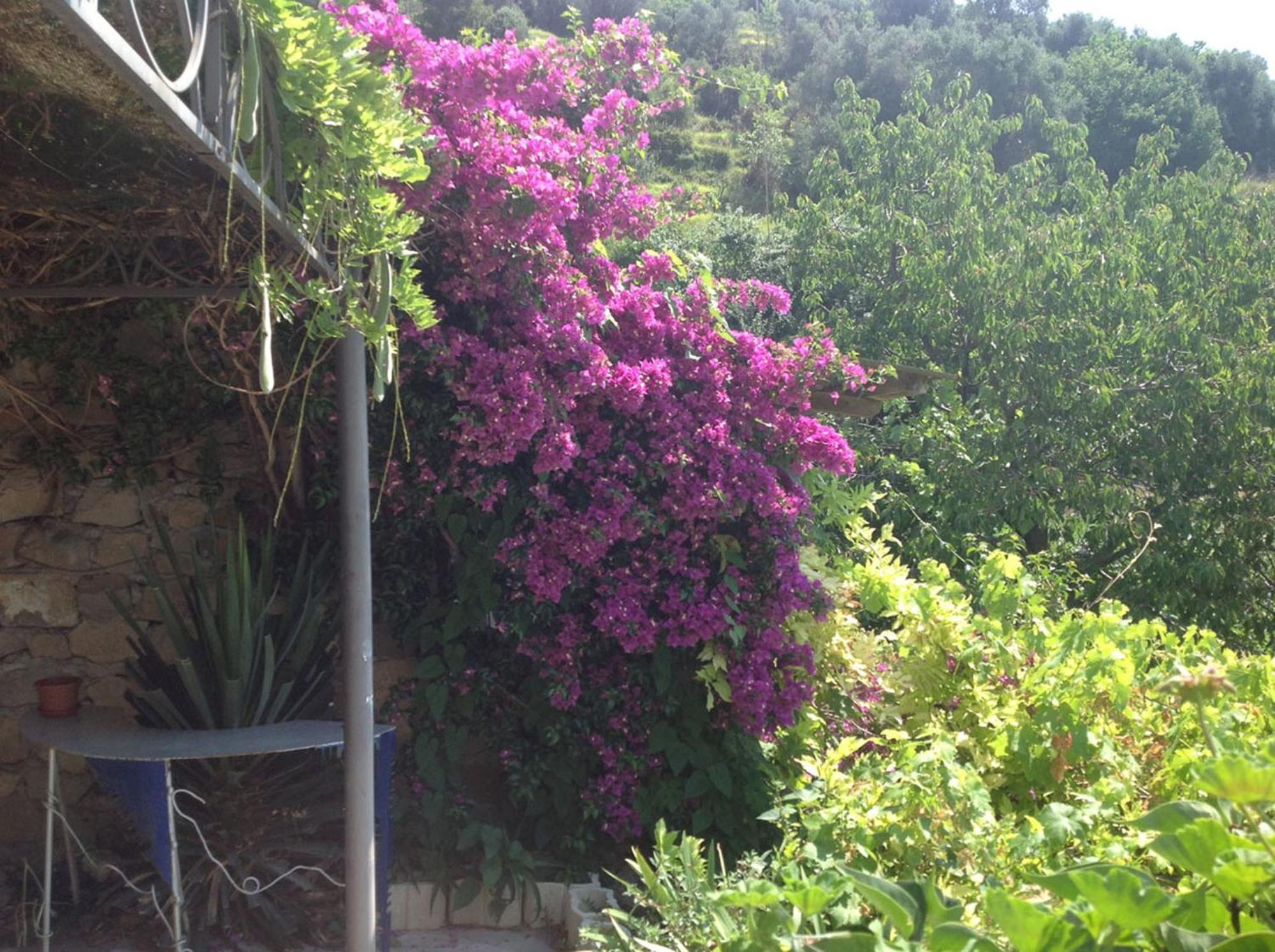 Villa D'Arte Mortola Superiore Quarto foto